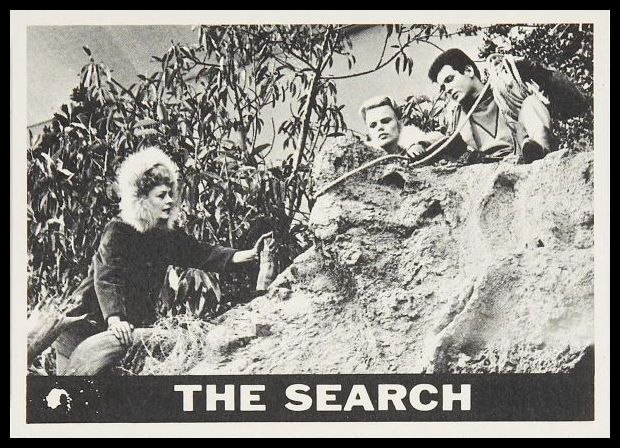 43 The Search